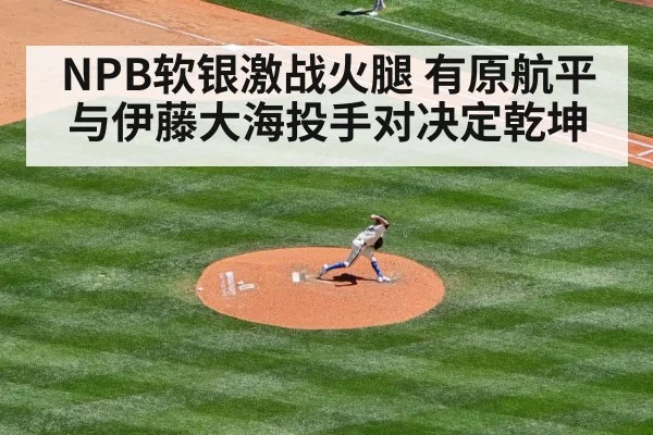 baseball pitcher duel(Kaiyun Sports)